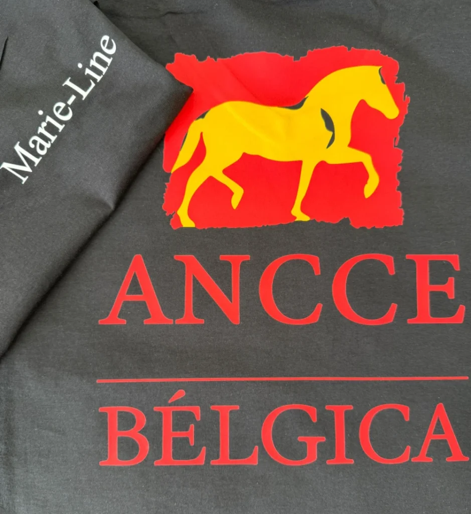 Digitaliseren 1 bedrukken kleren